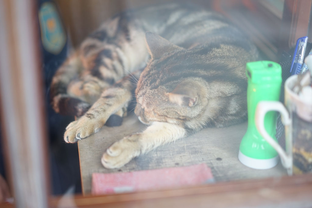 DSC001842.jpg DSC001842.jpg